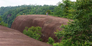 Three Whale Rocks